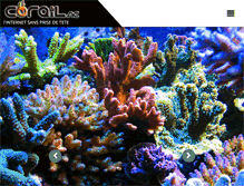 Tablet Screenshot of corail.nc